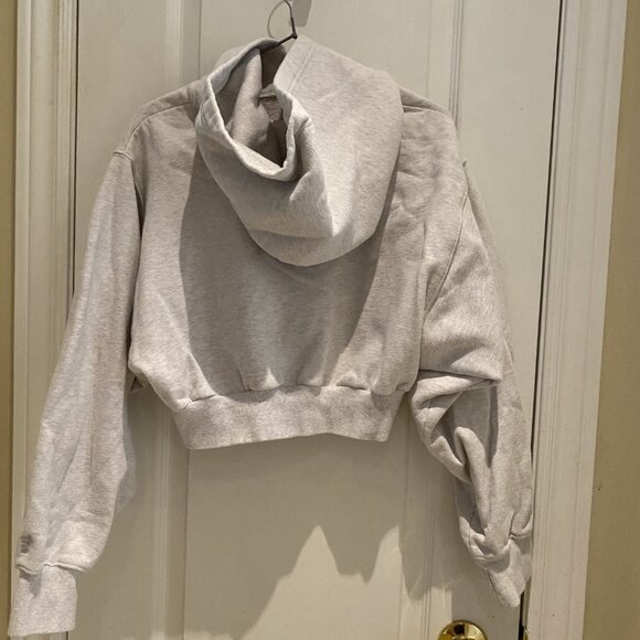 Aritzia Gray Cropped Hoodie - Picture 5 of 6